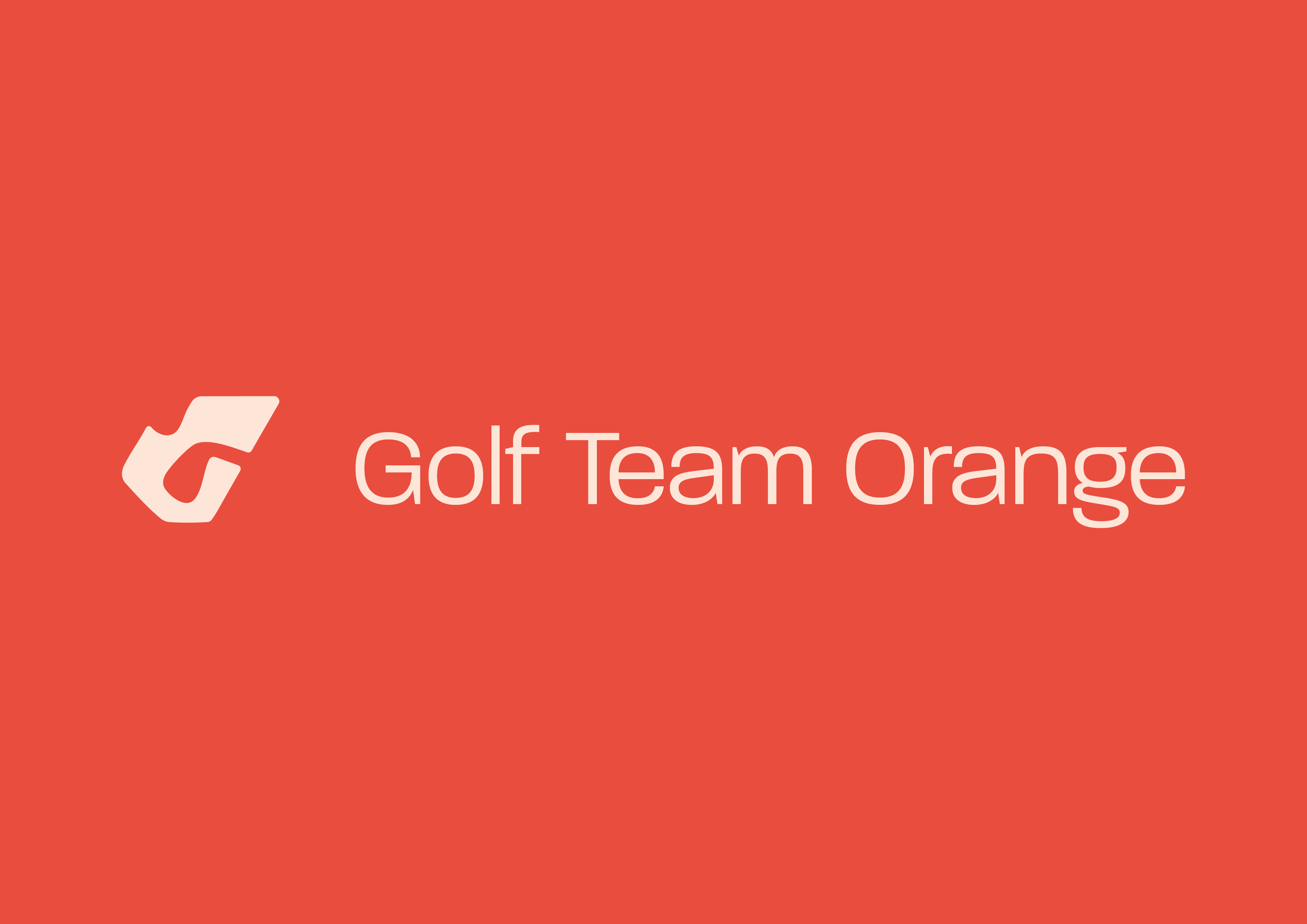 Logo on white